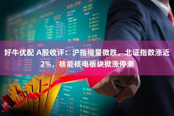 好牛优配 A股收评：沪指缩量微跌，北证指数涨近2%，核能核电板块掀涨停潮