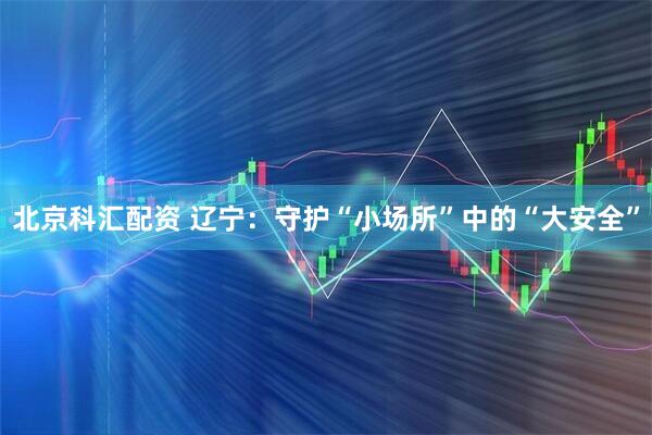 北京科汇配资 辽宁：守护“小场所”中的“大安全”