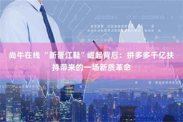尚牛在线 “新晋江鞋”崛起背后：拼多多千亿扶持带来的一场新质革命