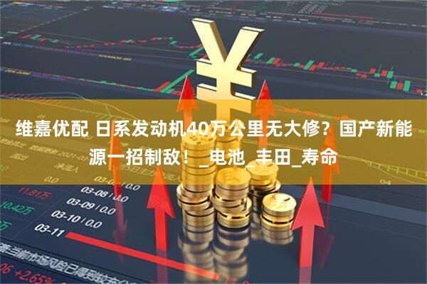 维嘉优配 日系发动机40万公里无大修？国产新能源一招制敌！_电池_丰田_寿命