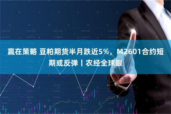 赢在策略 豆粕期货半月跌近5%，M2601合约短期或反弹丨农经全球眼