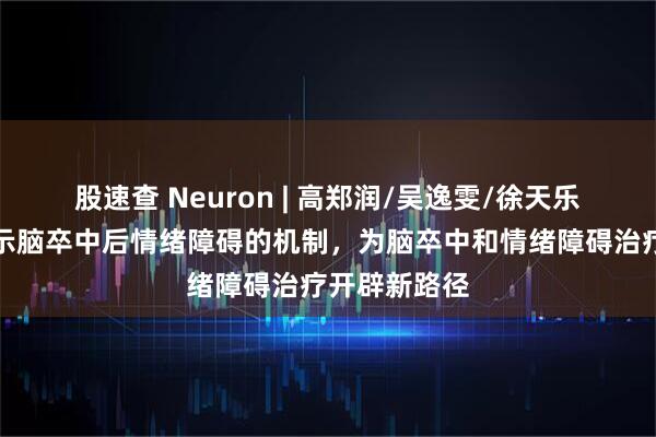 股速查 Neuron | 高郑润/吴逸雯/徐天乐团队合作揭示脑卒中后情绪障碍的机制，为脑卒中和情绪障碍治疗开辟新路径